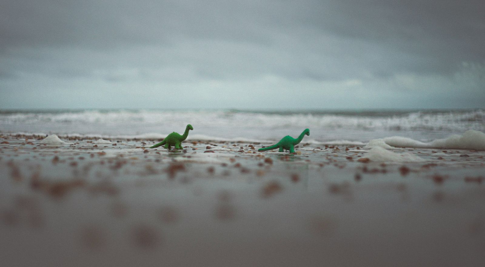 海辺の恐竜