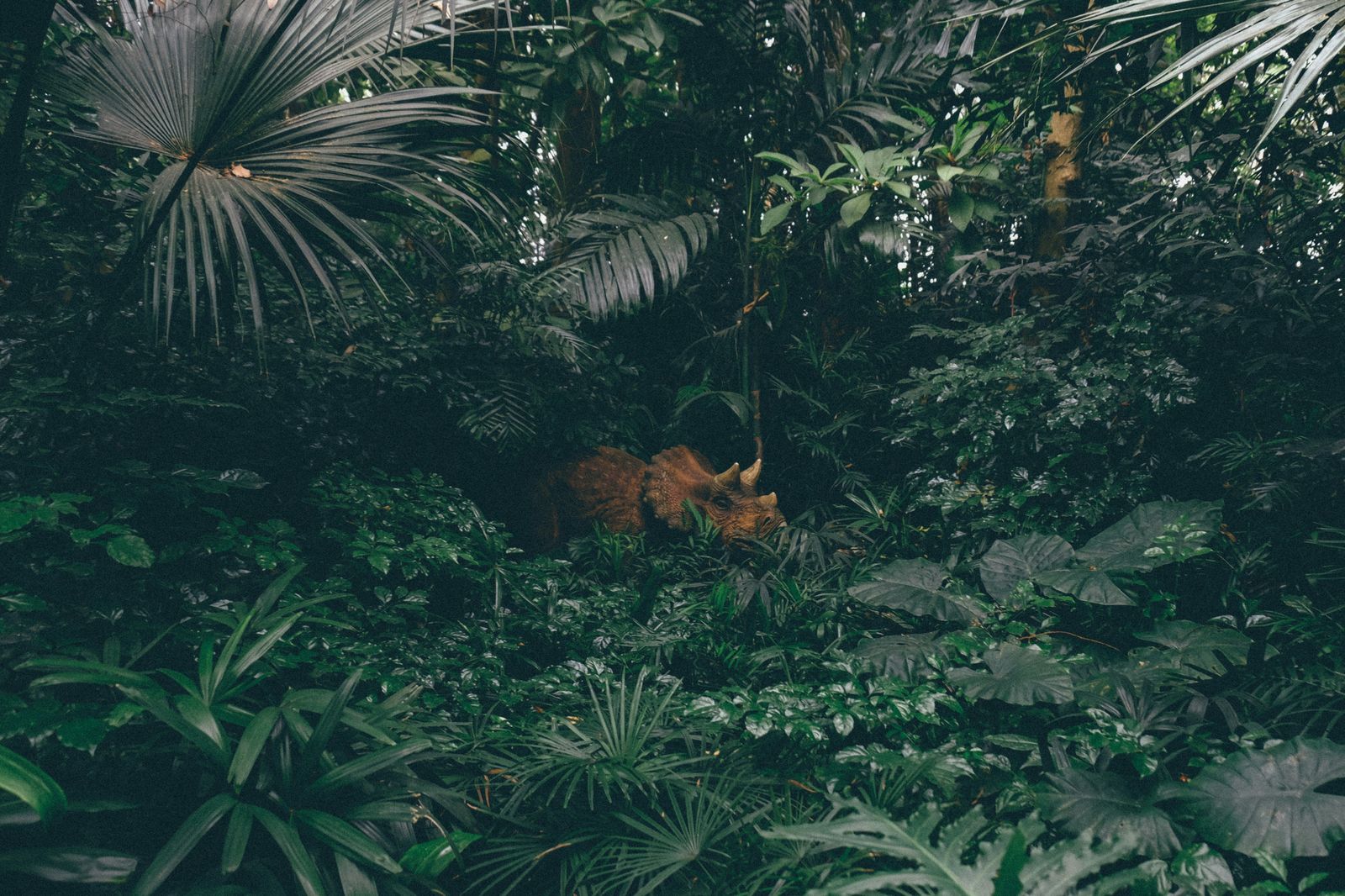 恐竜